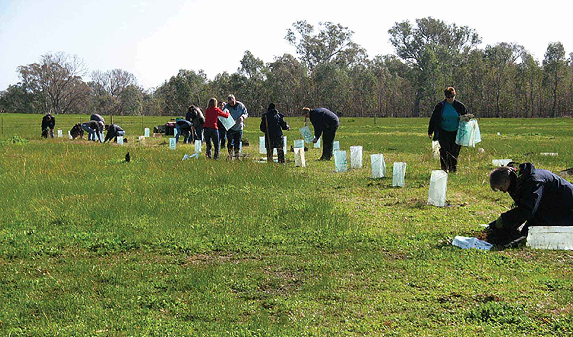 Members of the Warrenbayne Boho Land Protection Group have a 30 year history of revegetation projects.