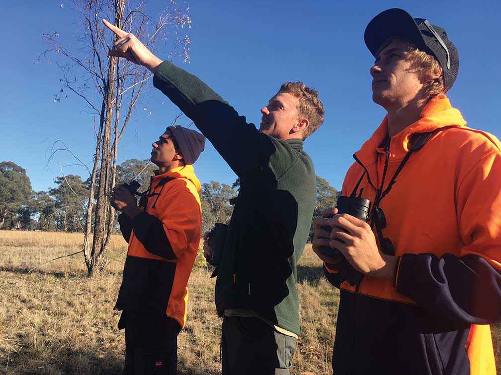 Woka Walla’s Ashton Cashion (left) and Shanon Watkins (right) surveying birds at Balmattum Nature Conservation Reserve with Dan Pendavinghe from DELWP.