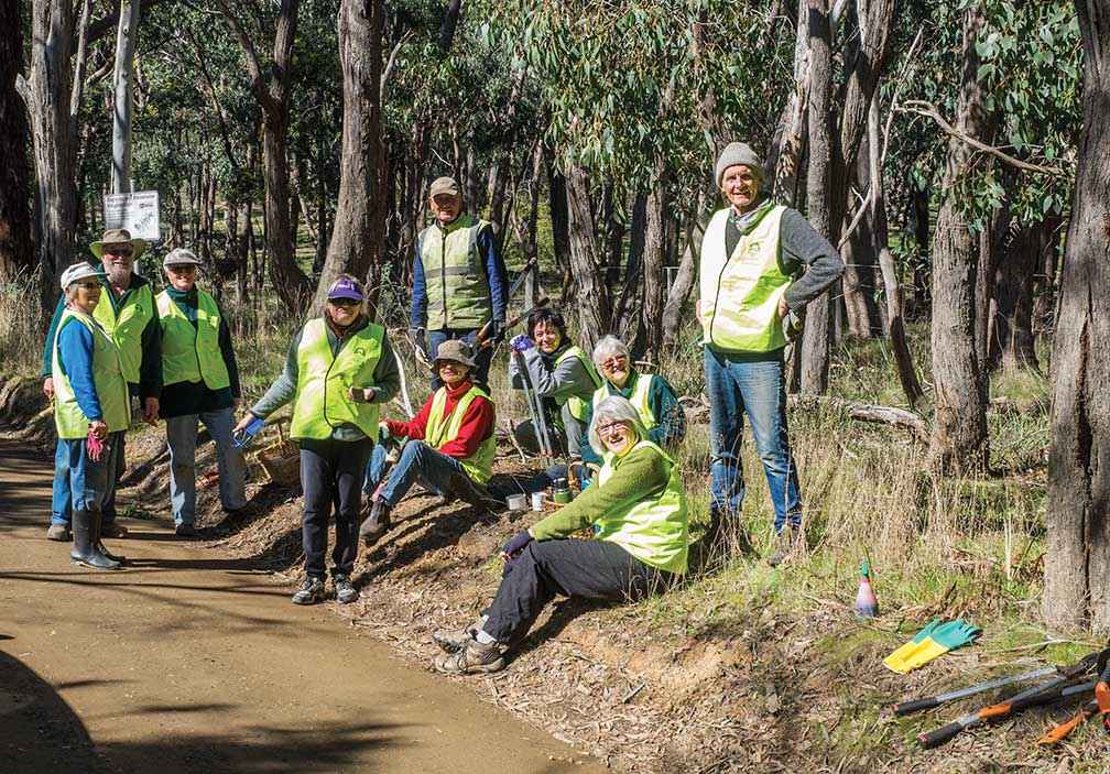 Morning tea on Whitebridge Road, Newham after a roadside working bee in 2017.