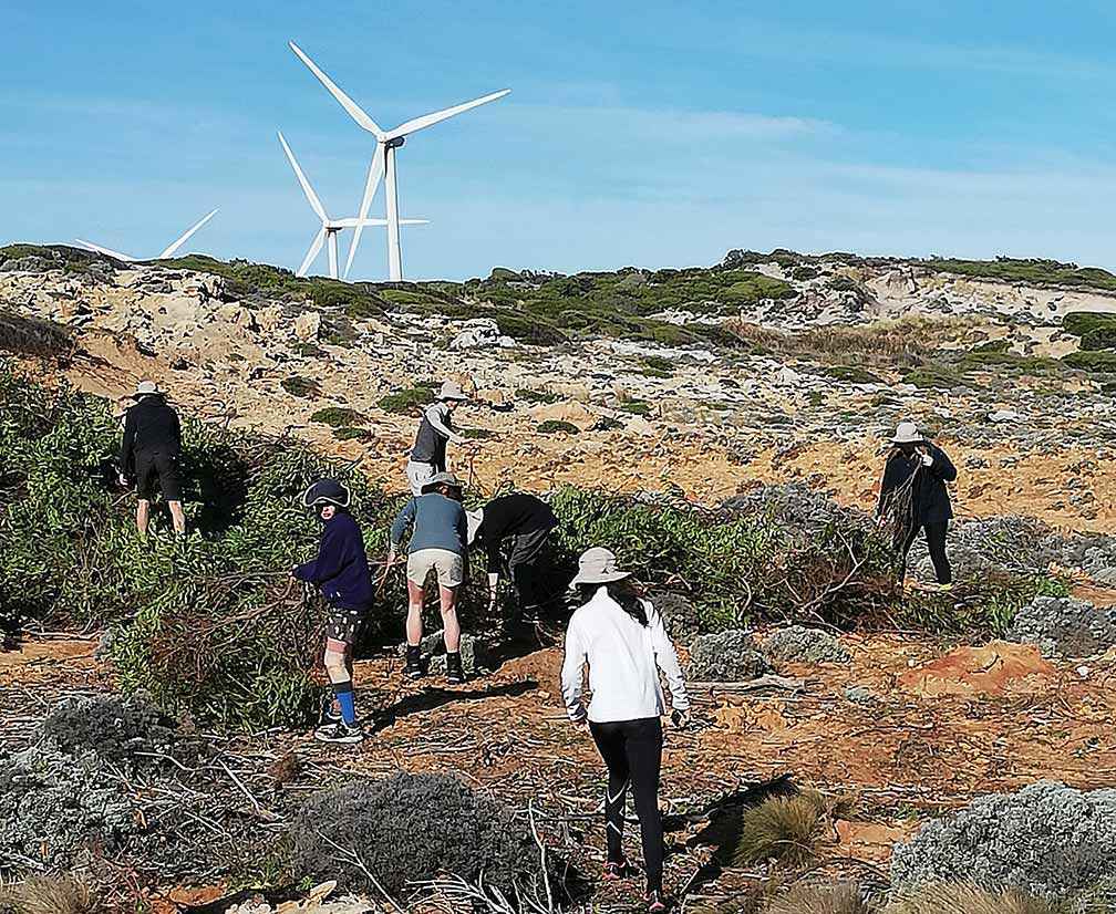 Wesley College students working along the walk.