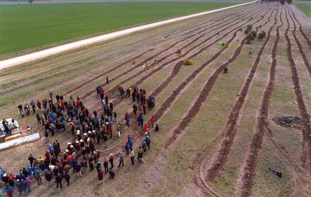 Leftys Corner, north of Kiata, was the site for the planting of the final tree in the Hindmarsh biolink in 2001.