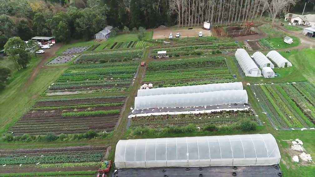 Small farms can be highly productive and demonstrate good land management practices.