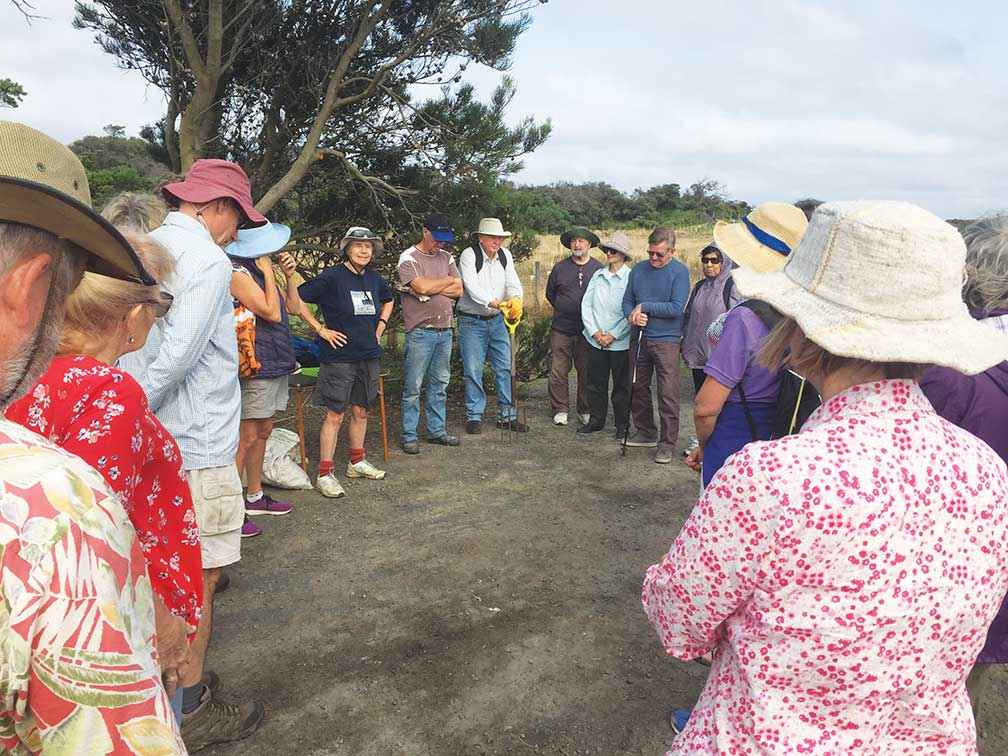 A briefing for Friends of Harmers Haven about the safety aspects of pulling sea spurge.