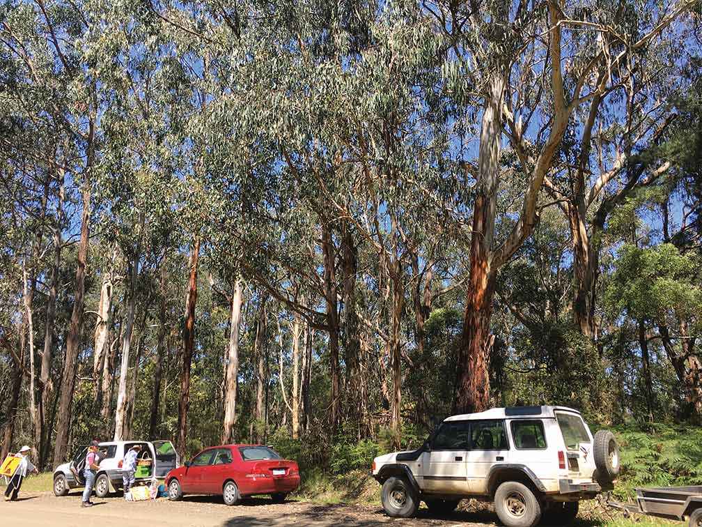 Choosing a site on a quiet road with enough room to park is a consideration when <br />
planning a working bee.<br />
