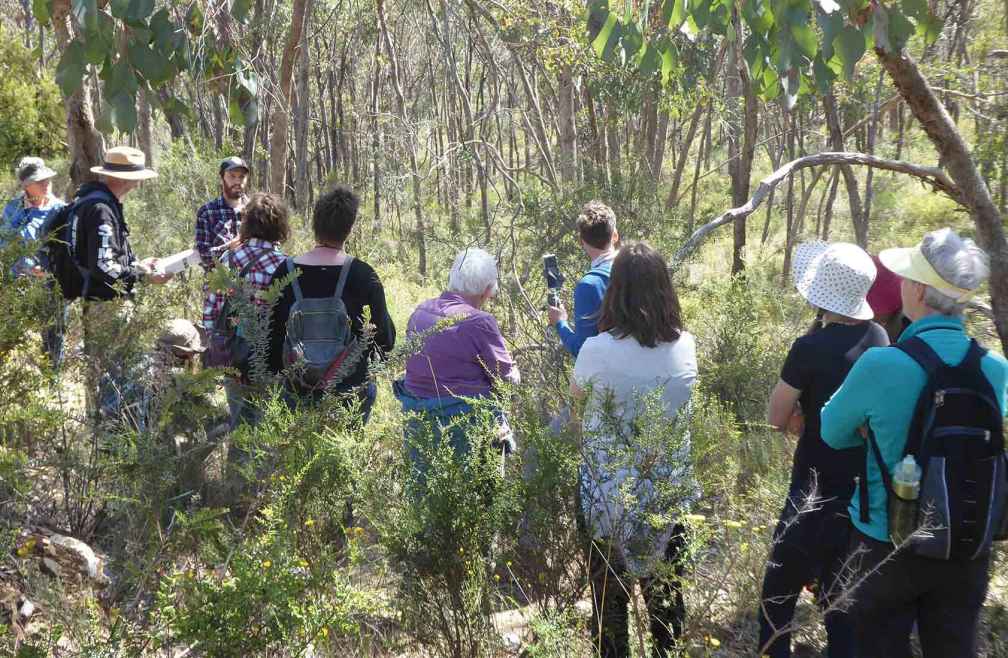 Ivan Carter (blue shirt) from Connecting Country filming during the Djaara bird walk.
