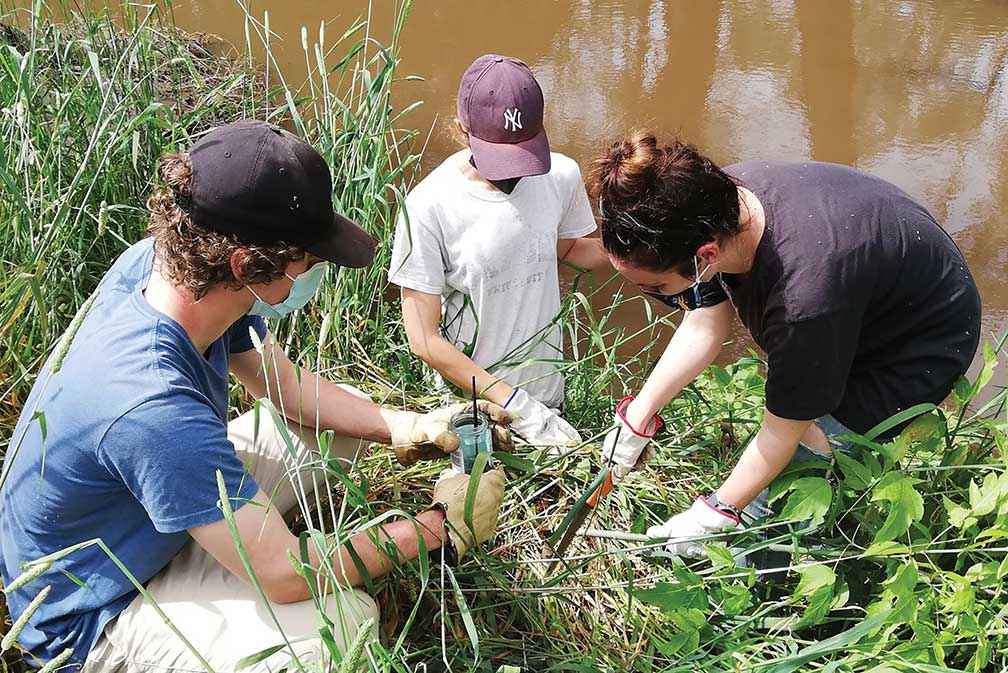 Keen Intrepid Landcarers helping to remove box elder suckers along the Yea River in November 2020. 