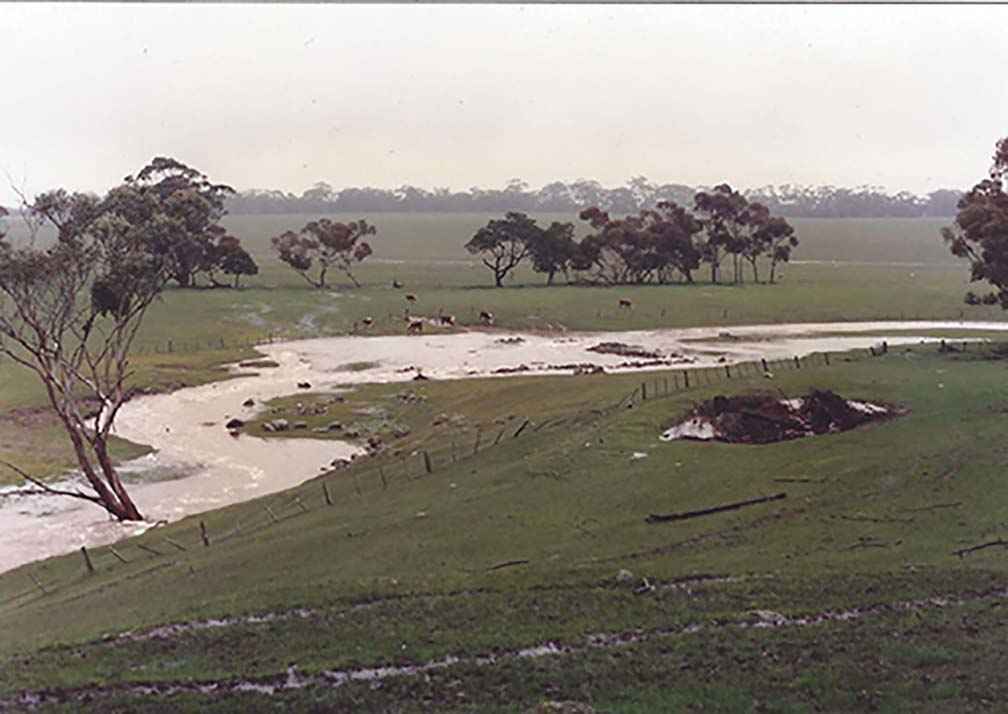 Spring Creek in 1996, before works commenced.