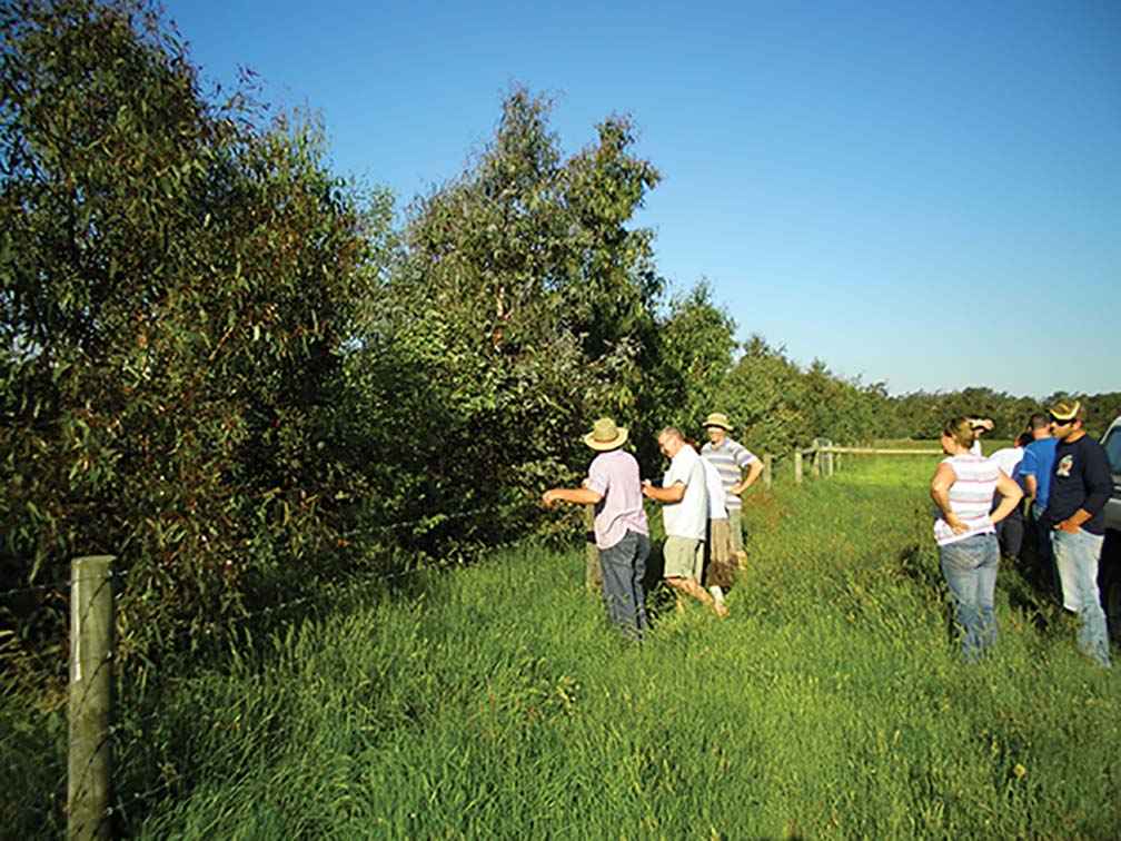 Cannibal Creek Landcare Group members at Charlie and Paula Rupe’s farm in Tynong North.