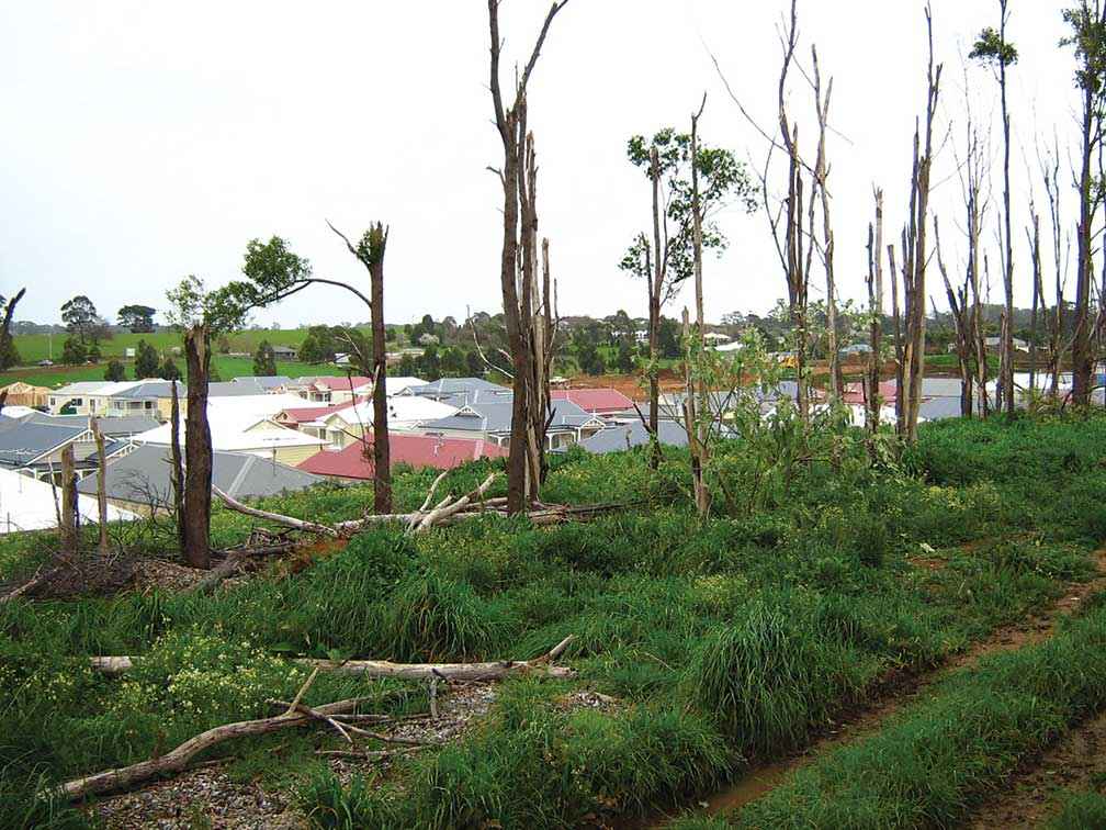 A section of land on the boundary of the Lifestyle Village Warragul before the clean-up and rehabilitation began.