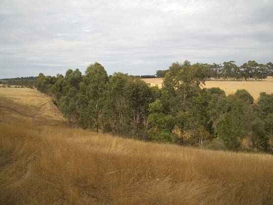 Spring creek eight years later, in 2014.