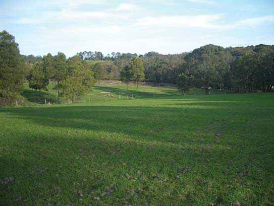 After gorse control works at one of the Woady Yaloak Catchment Group’s participating properties at Staffordshire Reef.