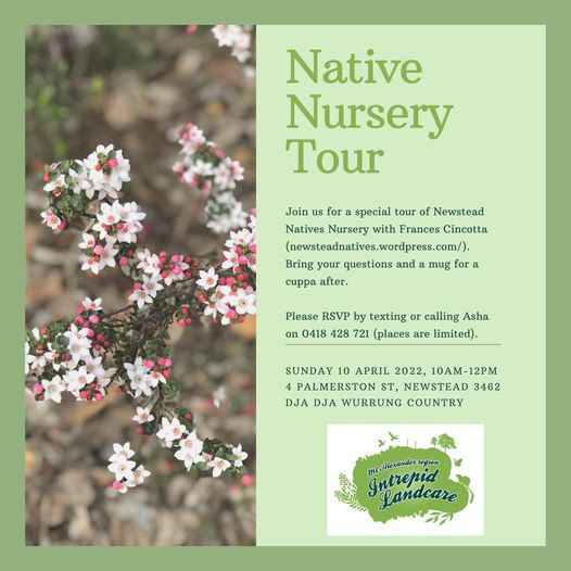 IL Nursery Tour 2022