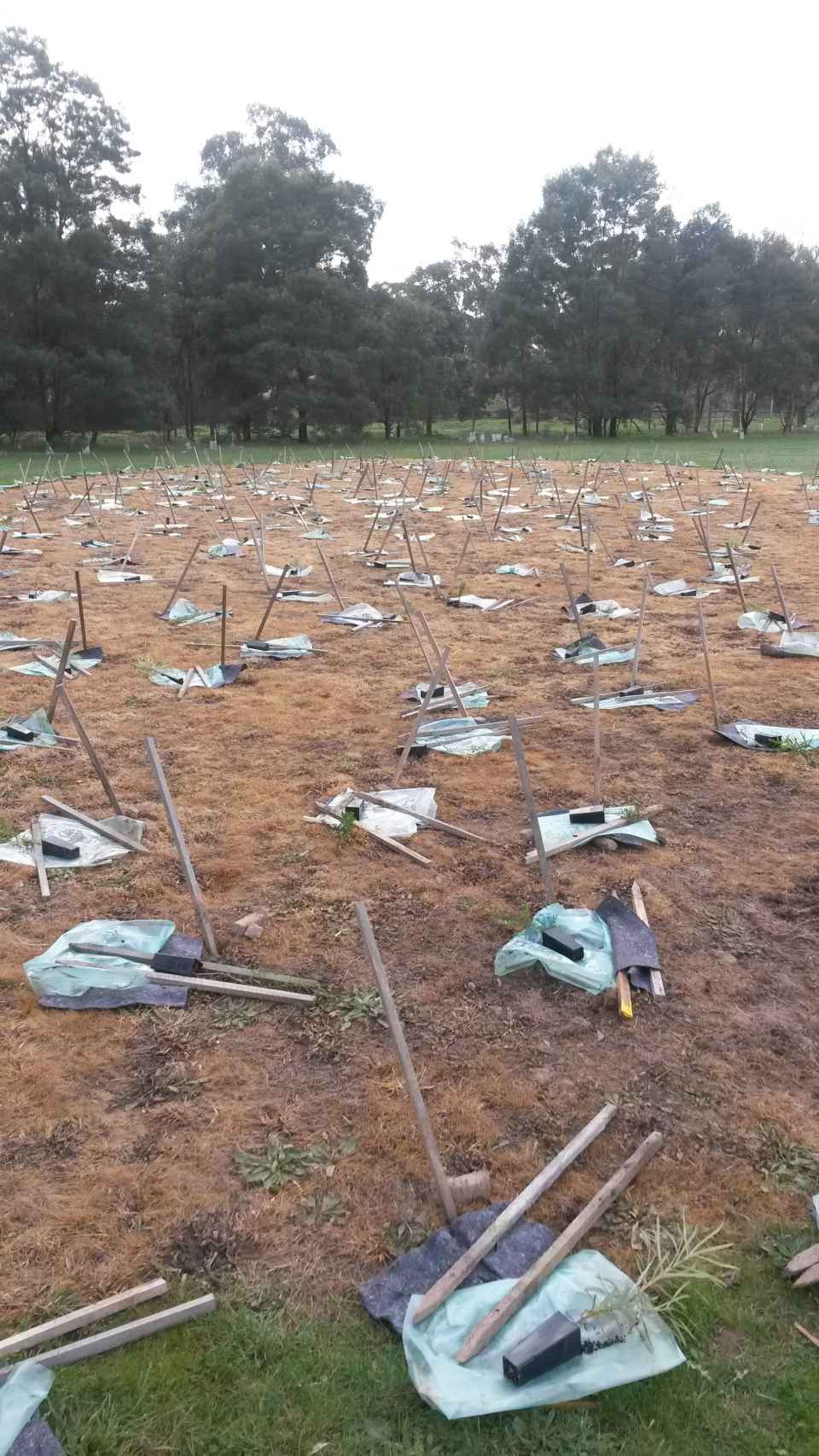 Planet Ark Day 2016 (2).jpg