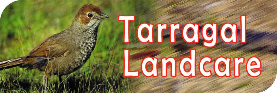 Tarragal Landcare JPEG (3).jpg