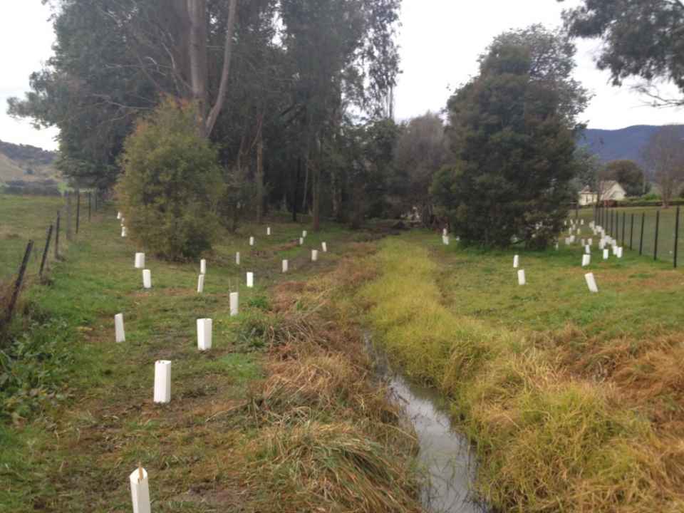 landcare 077 (Medium).jpg