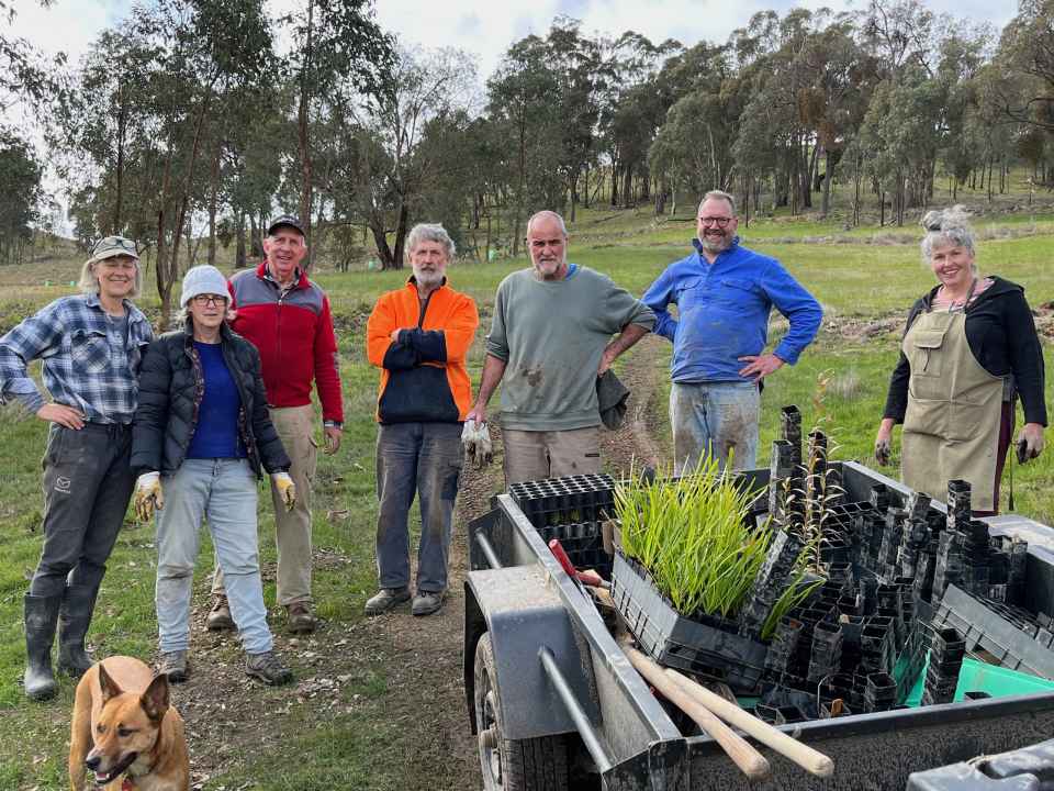 National Tree Day.jpeg