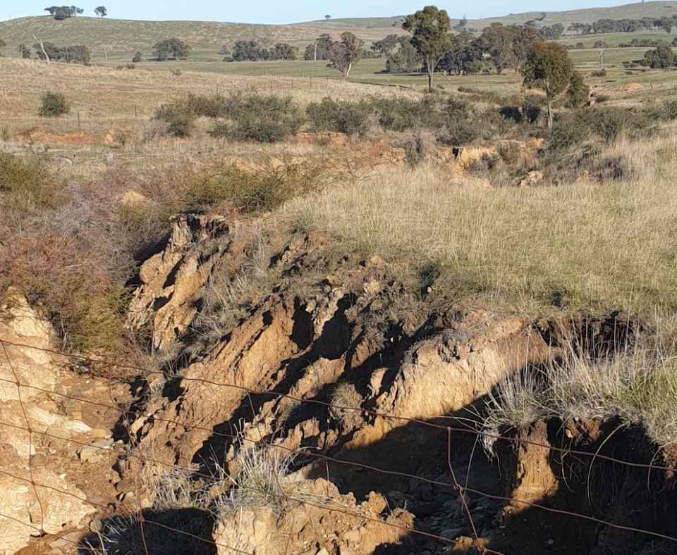 20210611_Erosion Winjallock Wiseman (1024x1024).jpg