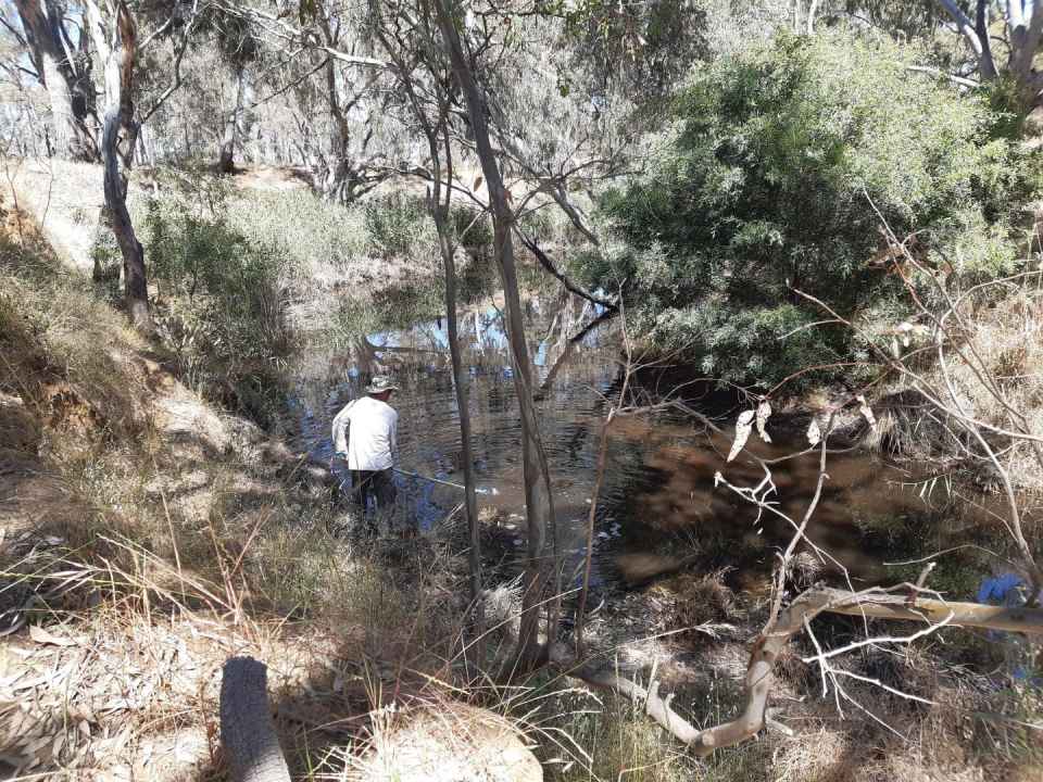 NC_MOS800 credit kylie mclennan.jpg