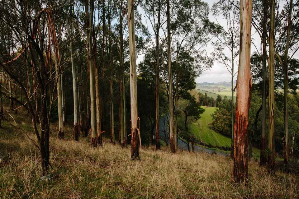 WGCMA 2019 LR-2592.jpg