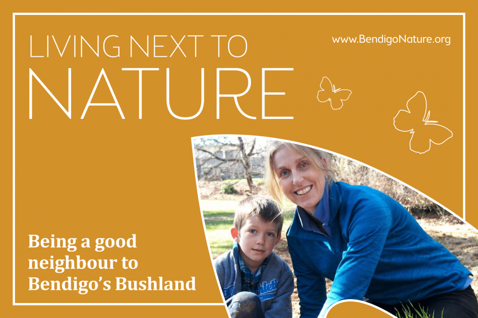 Living next to nature postcard.png