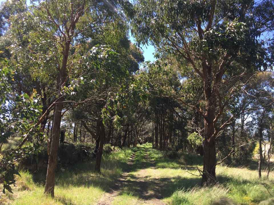 Wallan rail reserve - Copy.JPG