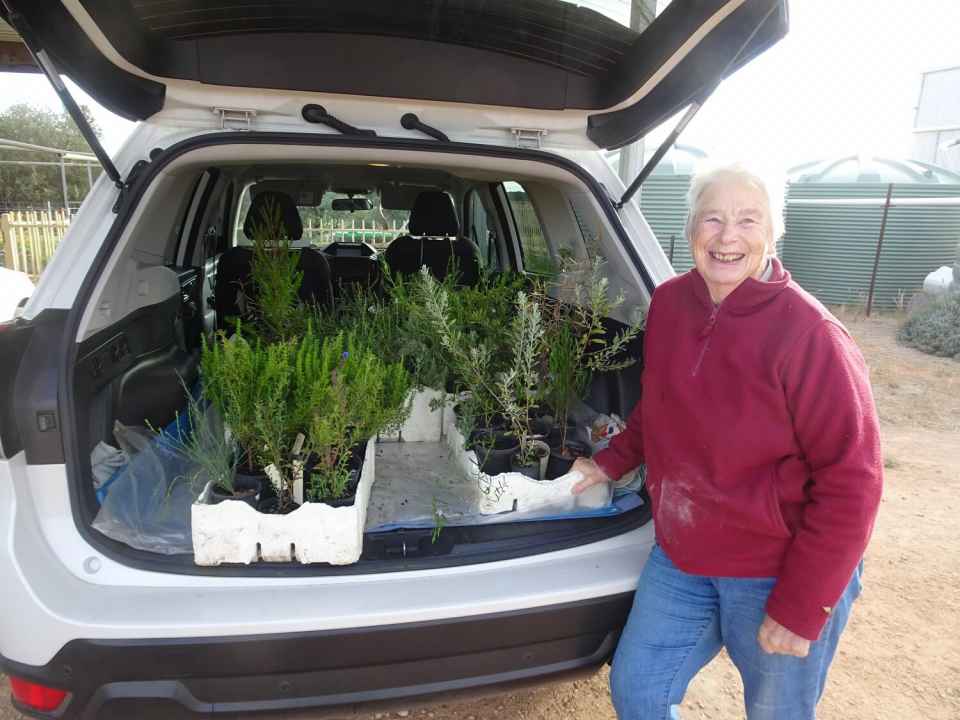 Tree planting 2021-04 (1).JPG