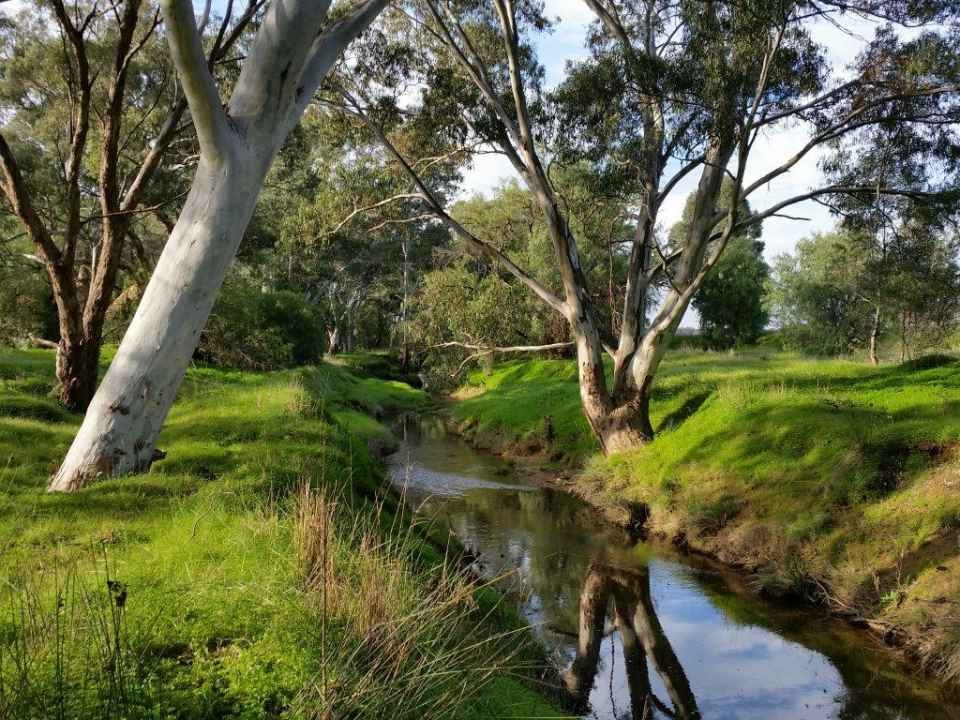 smaller nice photo.jpg