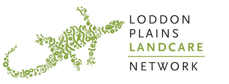 portrait no background.jpg