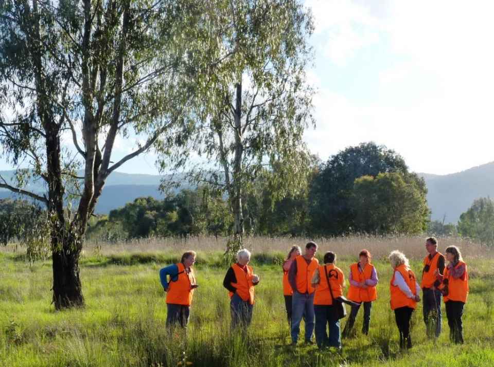 Exploring the wetlands.jpg