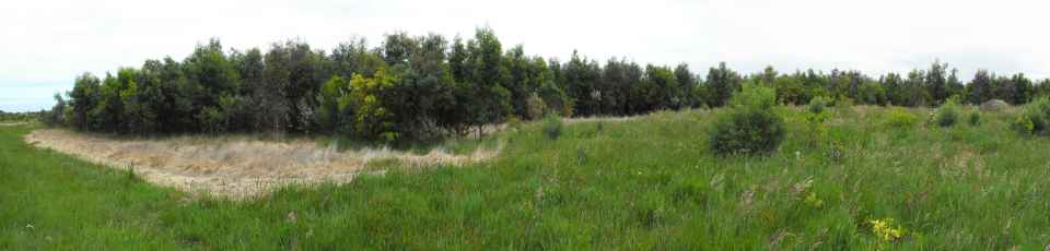 tozers reserve (7).JPG