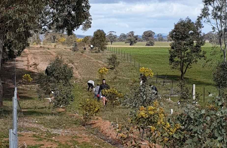 20210816_123034 (1024x1024).jpg