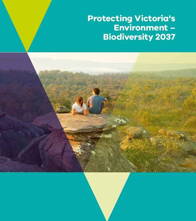 Biodiversity 2037 plan