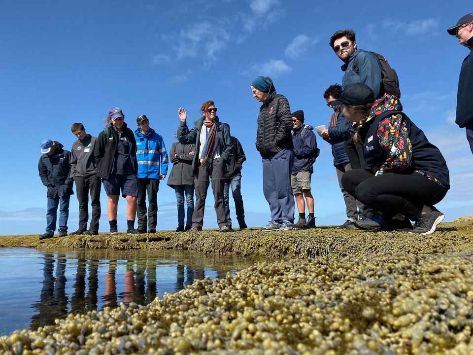 2017CD0005 Bellarine Catchment Network Marine Interpretation Training Rockpool