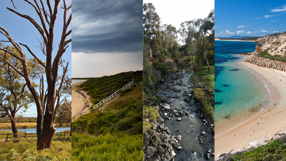 2021 Community Environment Grants