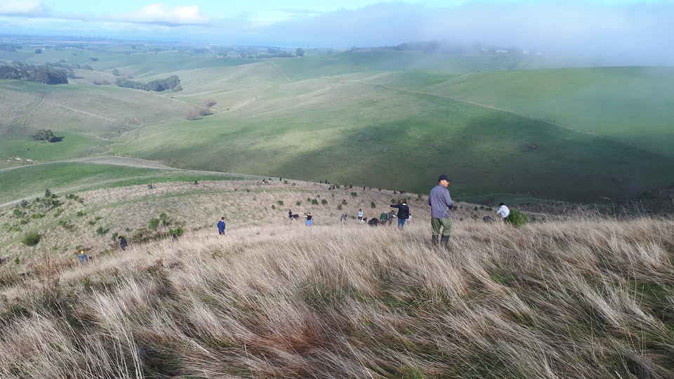 Environmental Volunteering