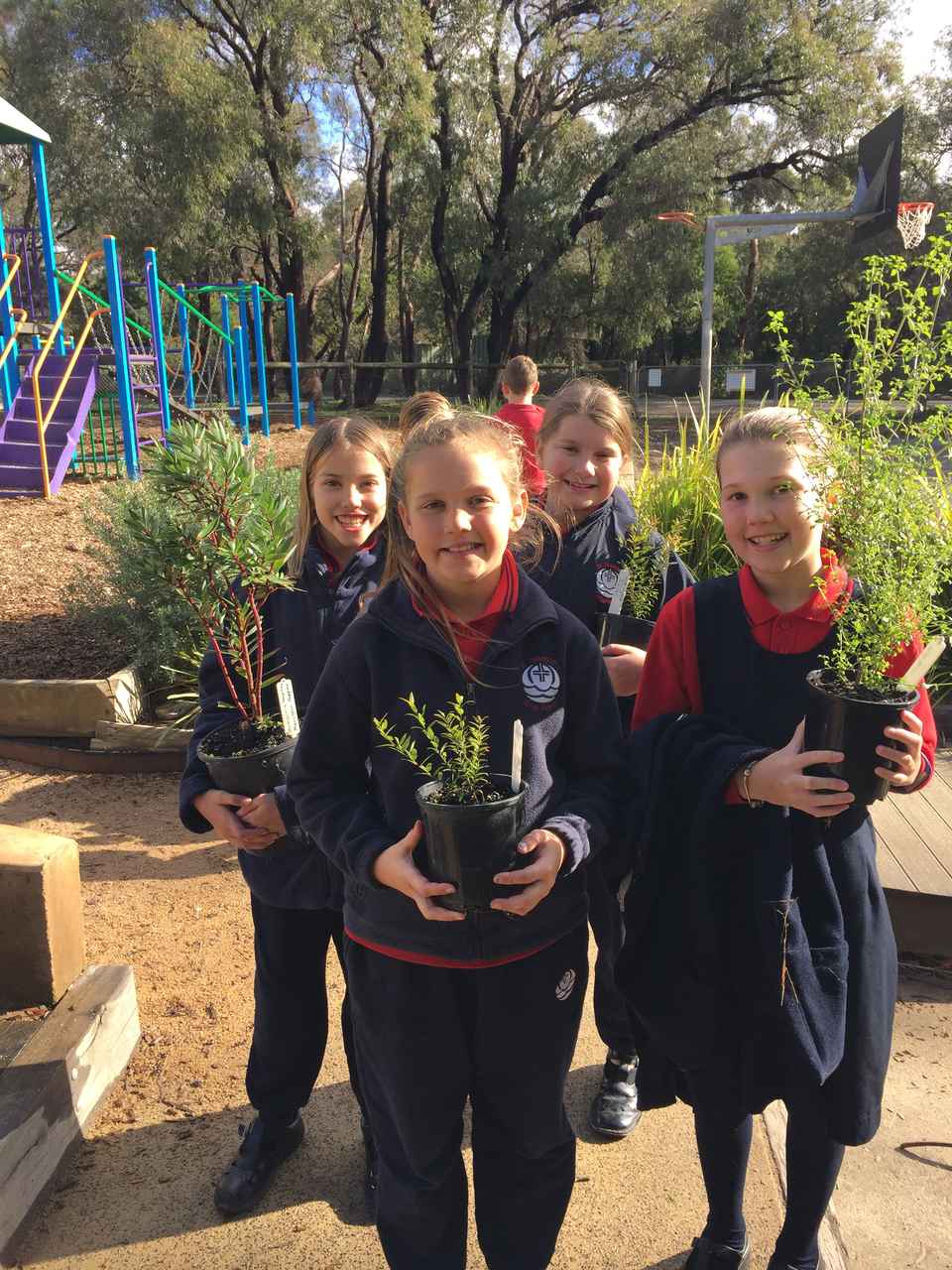 St Josephs Primary School Crib Point3