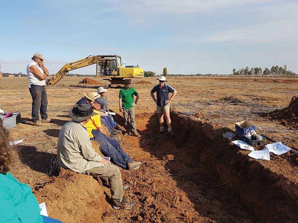 p12 sustainable hero