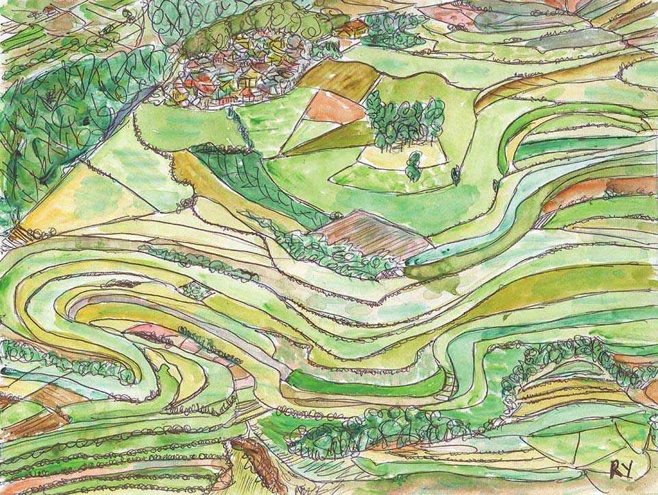 p16 17 Community hero