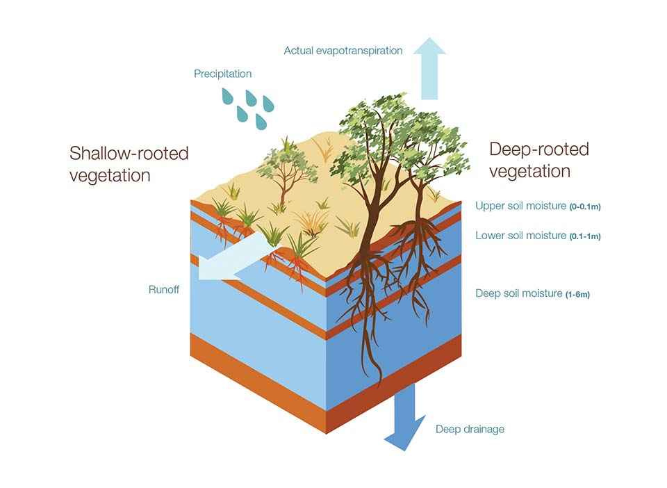 p21 illustration hero