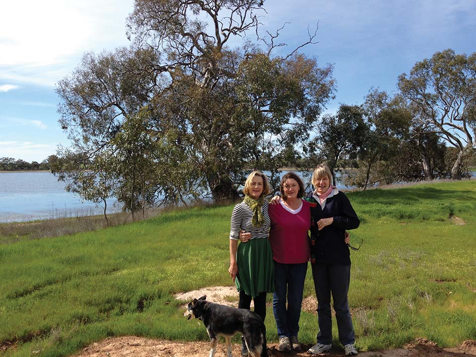 p22 23 Avon Plains hero